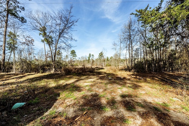 1087 Jones Rd, New Waverly, TX 77358