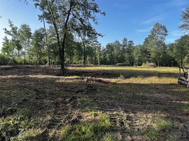 1087 Jones Rd, New Waverly, TX 77358 - photo 7