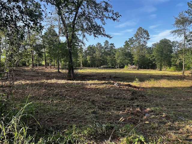 1087 Jones Rd, New Waverly, TX 77358 - photo 8