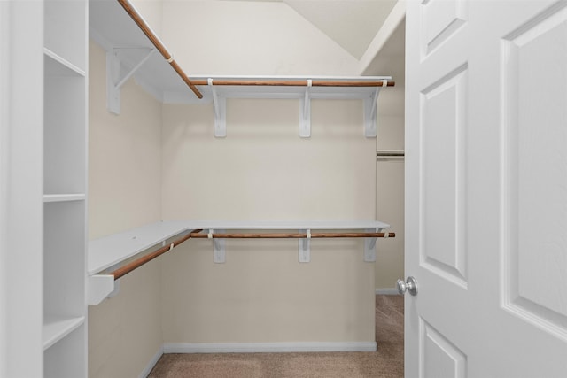 6439 Wilshire Rdg, Houston, TX 77040 - spacious closet featuring carpet flooring