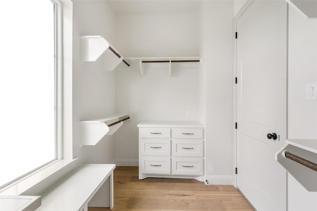 1355 Bluebonnet Ridge Dr, Chappell Hill, TX 77426 - spacious closet with light wood-style floors