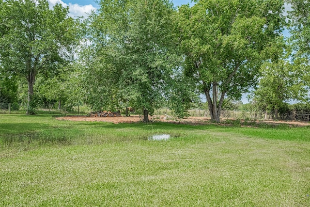 8705 W 1st St, Needville, TX 77461 - view of yard
