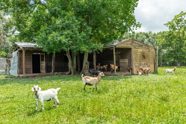 4821 County Road 288, Angleton, TX 77515 - photo 28