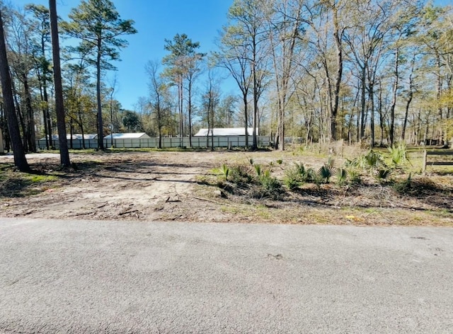 17909 Pine St Unit A, Crosby, TX 77532 - view of asphalt road