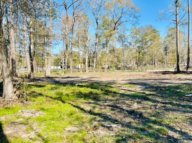 17909 Pine St Unit A, Crosby, TX 77532 - view of yard