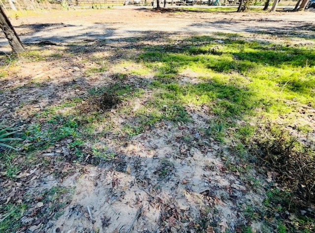 17909 Pine St Unit A, Crosby, TX 77532 - view of yard
