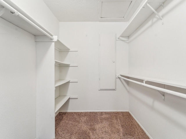 4901 Ripple Creek Dr, Baytown, TX 77521 - spacious closet with carpet flooring and attic access