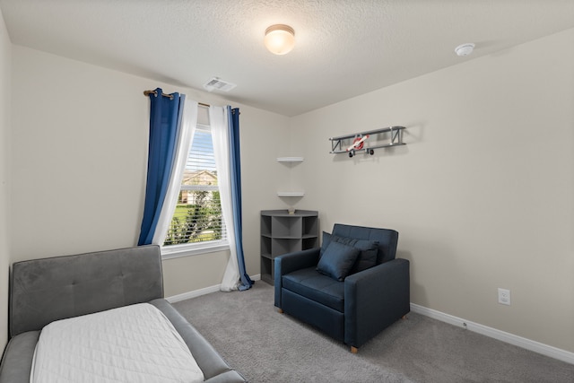 10433 Russell Pines Dr, Rosharon, TX 77583 - living area featuring carpet flooring and a textured ceiling