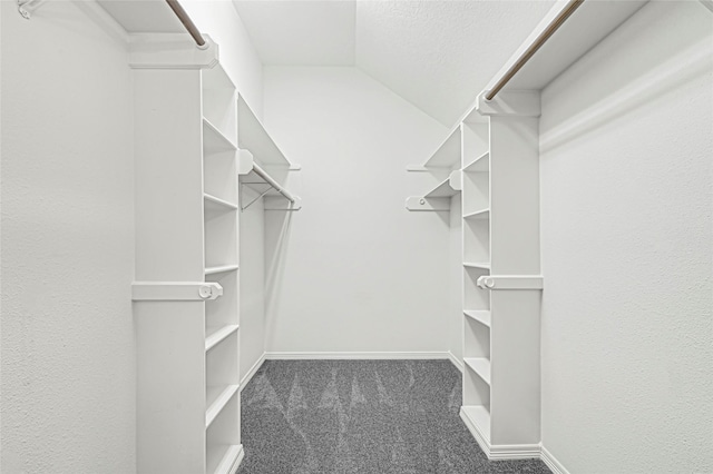 1414 Watson Dr, Deer Park, TX 77536 - spacious closet with carpet floors and vaulted ceiling