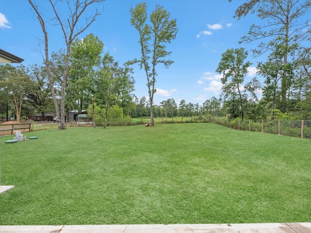 14606 Half Circle St, Splendora, TX 77372 - view of yard