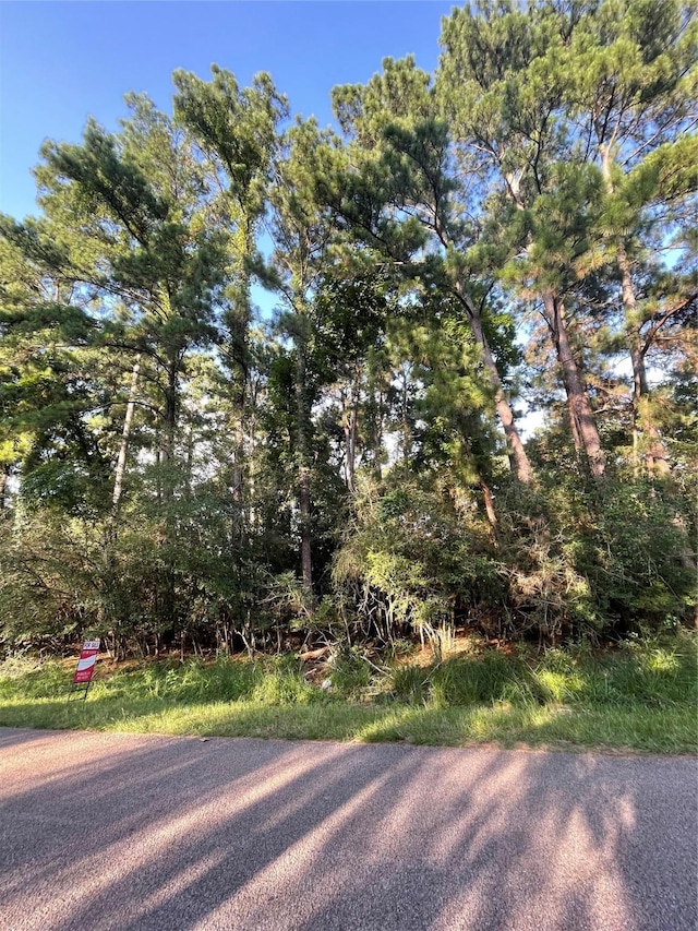 302 Box Elder Dr, Magnolia, TX 77354