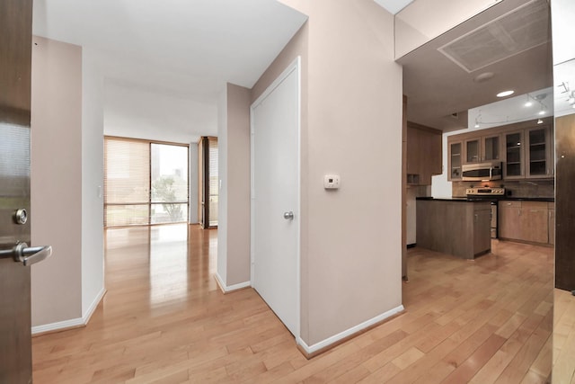1111 Bering Dr Unit 306, Houston, TX 77057 - hall with light wood-style floors and floor to ceiling windows