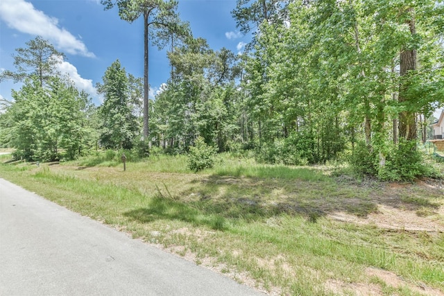 26410 Jacks Barn Rd, Montgomery, TX 77316