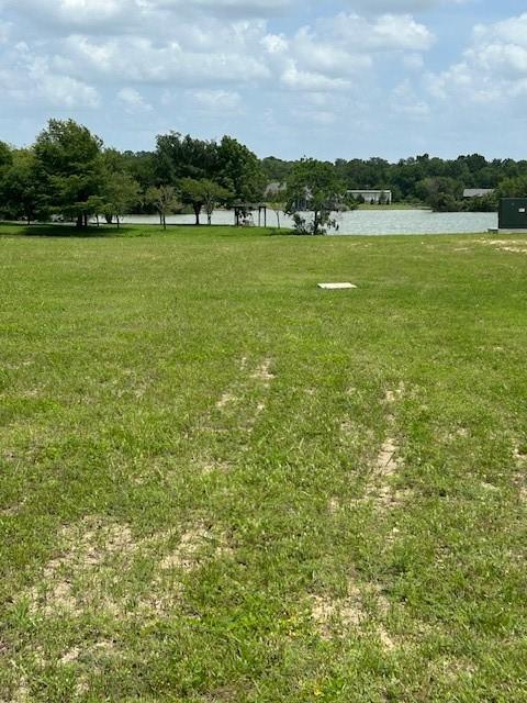 00000 Clearview Dr, Willis, TX 77318 - photo 9