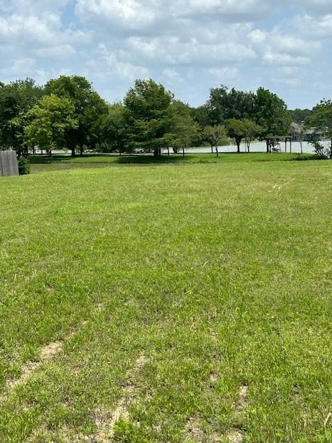 00000 Clearview Dr, Willis, TX 77318 - photo 10
