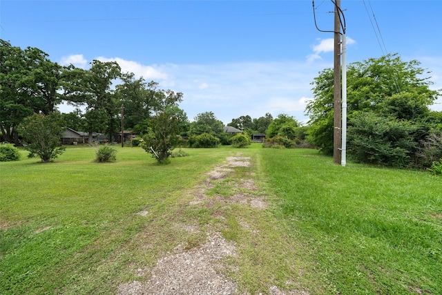 10183 Fm 1484, Conroe, TX 77303