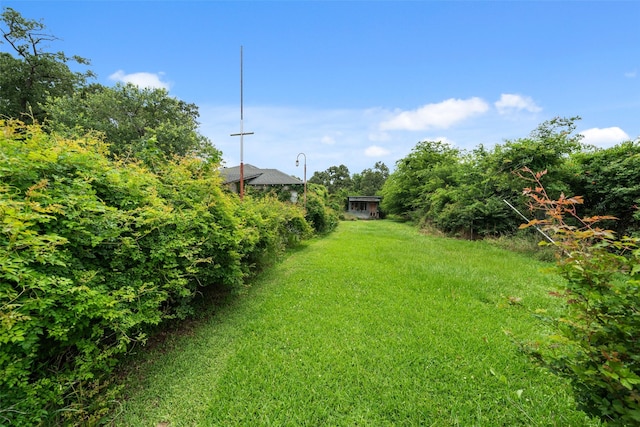 10183 Fm 1484, Conroe, TX 77303