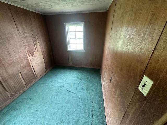 801 Clark St, Fairfield, TX 75840 - empty room with wooden walls and light carpet