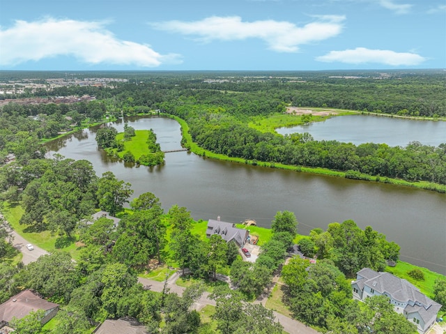 607 Brook Hollow Dr, Conroe, TX 77385 - photo 42