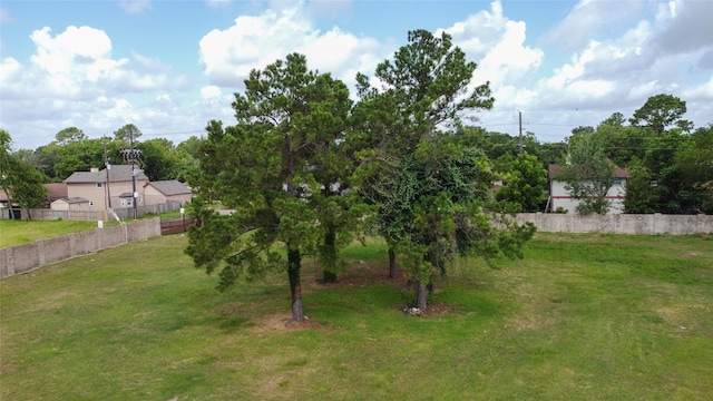10707 Grand Estates Dr, Houston, TX 77065 - photo 12