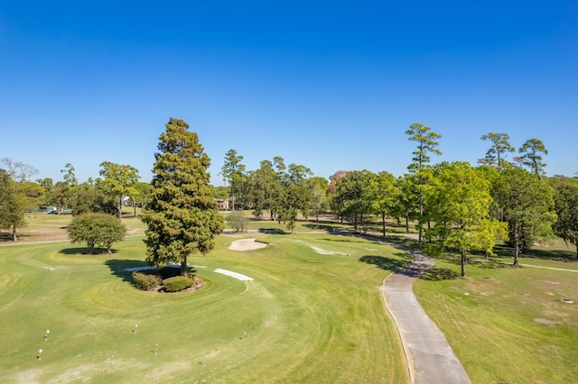19002 Volley Vale Ct, Humble, TX 77346 - view of community featuring golf course view, view of scattered trees, and a yard