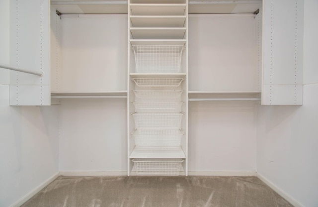 5701 Winsome Ln Unit 2, Houston, TX 77057 - spacious closet featuring carpet flooring