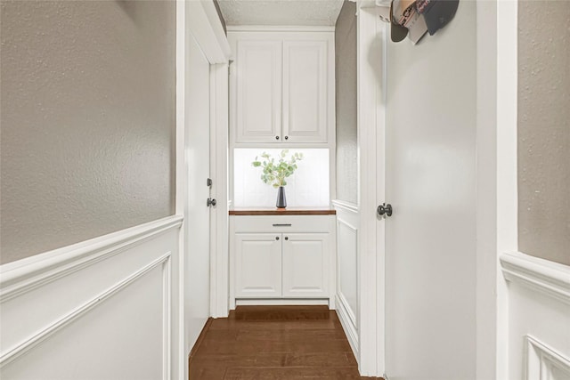 12814 Westmere Dr, Houston, TX 77077 - doorway with dark wood-style flooring, a wainscoted wall, and a decorative wall
