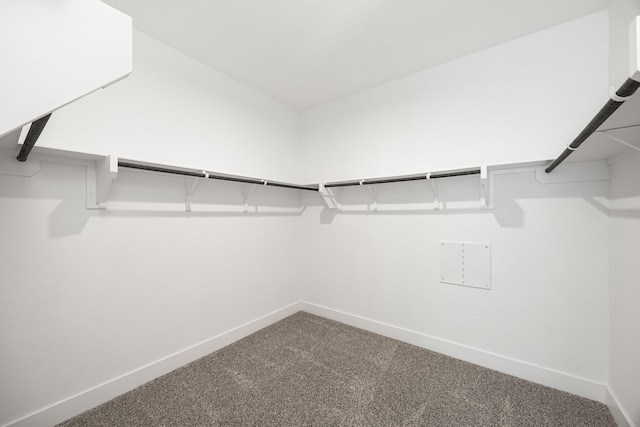 15308 Sandhill Crane Ln, Conroe, TX 77384 - spacious closet featuring carpet