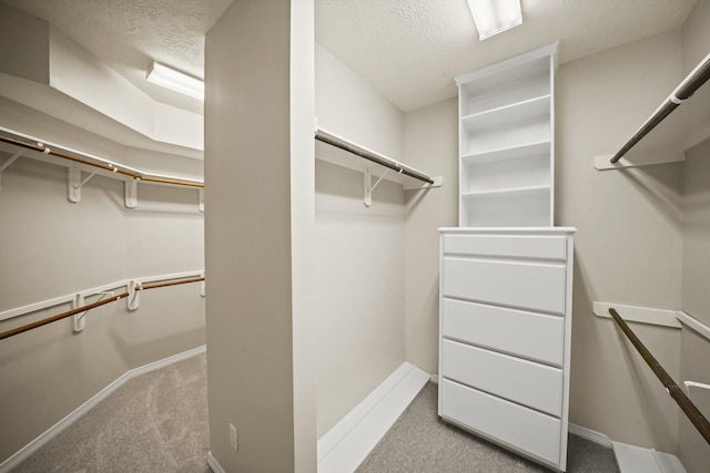 1509 Mcduffie St, Houston, TX 77019 - photo 24