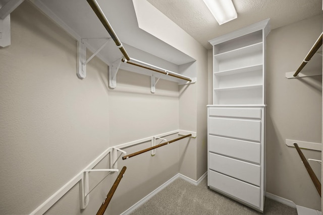 1509 Mcduffie St, Houston, TX 77019 - photo 25