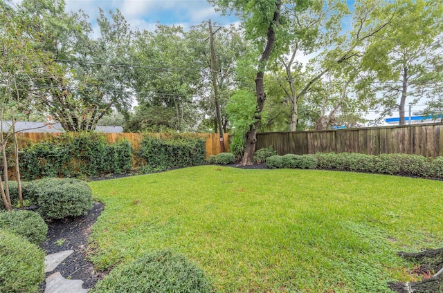 5541 Schumacher Ln, Houston, TX 77056 - view of fenced backyard