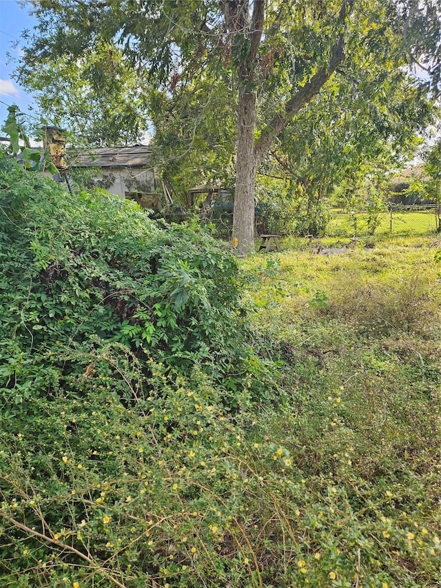 1503 Beusch Dr, Pasadena, TX 77502 - view of yard