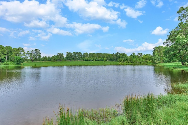 TBD Tacker Rd, Montgomery, TX 77316