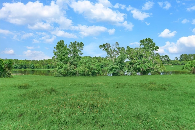 TBD Fm-2854, Montgomery, TX 77316