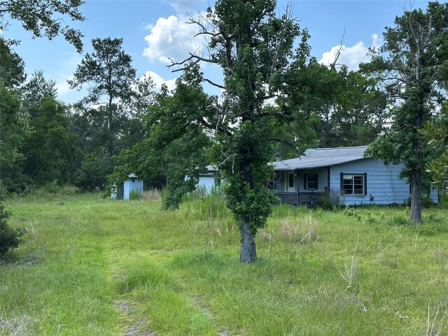 2736 Whitetail Forest Rd, Kountze, TX 77625 - view of yard