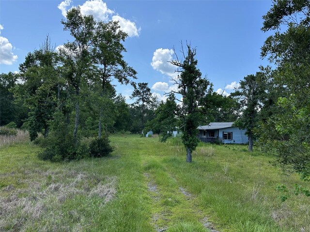 2736 Whitetail Forest Rd, Kountze, TX 77625 - view of yard