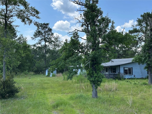 2736 Whitetail Forest Rd, Kountze, TX 77625 - view of yard