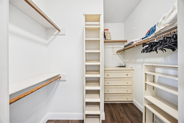 12414 Laneview Dr, Houston, TX 77070 - walk in closet featuring dark wood-style floors