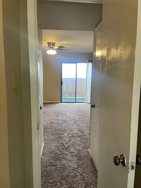 8515 Hearth Dr Unit 36, Houston, TX 77054 - hallway featuring carpet flooring and baseboards
