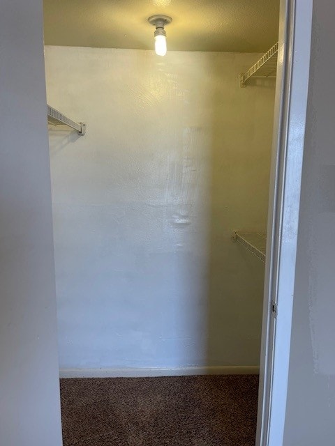 8515 Hearth Dr Unit 36, Houston, TX 77054 - spacious closet with carpet flooring
