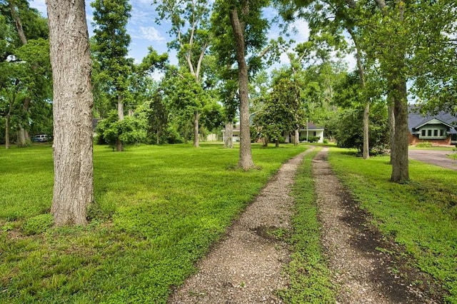524 Oak Dr, Lake Jackson, TX 77566 - view of grassy yard