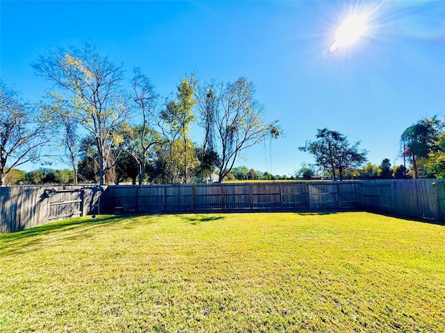 11119 Alpenhorn Pl, Tomball, TX 77375 - view of fenced backyard