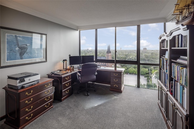 5001 Woodway Dr Unit 1704, Houston, TX 77056 - carpeted office space with a wall of windows and ornamental molding
