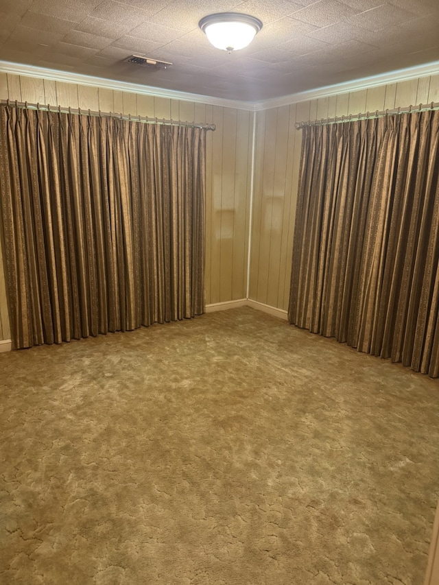 801 Erin St, El Campo, TX 77437 - carpeted spare room featuring ornamental molding and wood walls