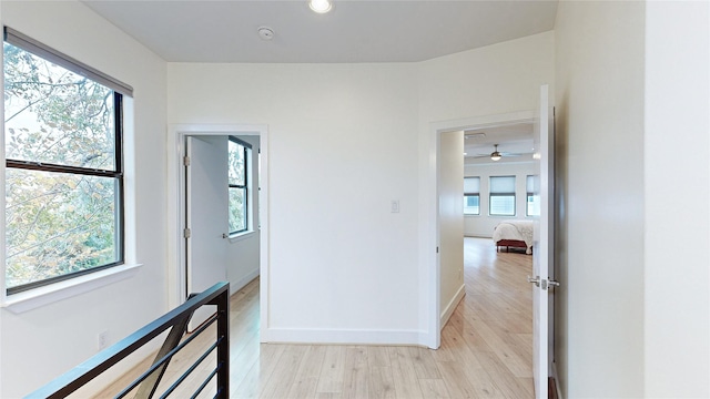 1767 Michigan St, Houston, TX 77006 - hallway featuring light wood-style flooring