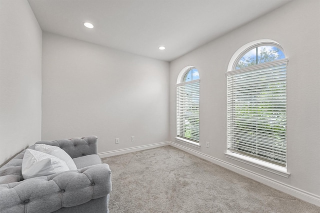 14251 Archer County Trl, Cypress, TX 77429 - unfurnished room featuring carpet flooring and recessed lighting