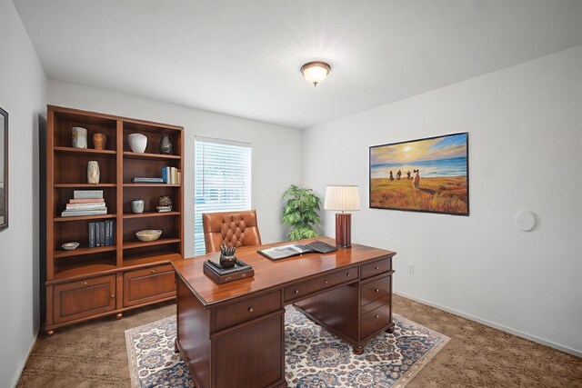 2110 Trailing Vine Rd, Spring, TX 77373 - home office featuring light colored carpet and baseboards