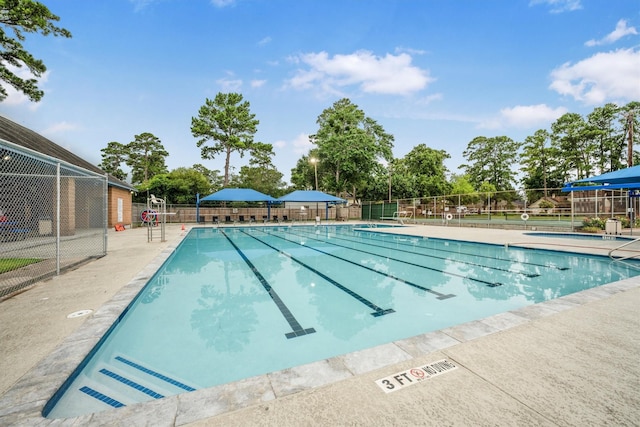 2110 Trailing Vine Rd, Spring, TX 77373 - view of community pool