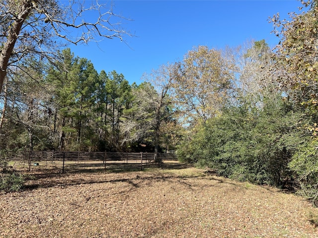 26161 Crown Ranch Blvd, Montgomery, TX 77316