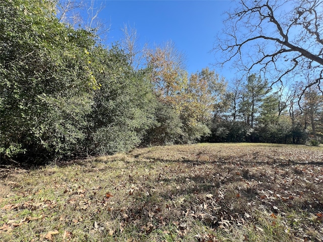 26161 Crown Ranch Blvd, Montgomery, TX 77316